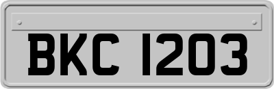 BKC1203