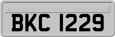 BKC1229