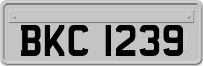 BKC1239