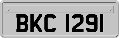 BKC1291