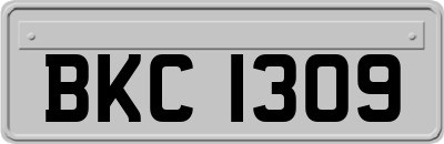 BKC1309