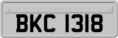 BKC1318