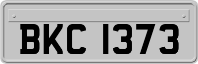 BKC1373