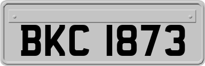 BKC1873