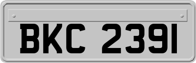 BKC2391