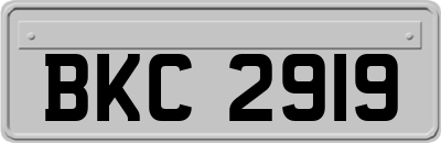 BKC2919