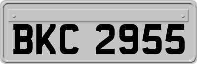 BKC2955