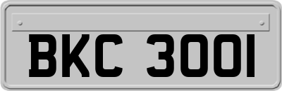 BKC3001