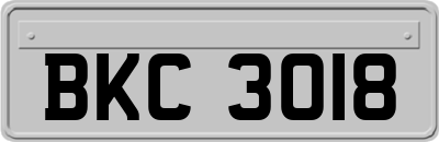 BKC3018