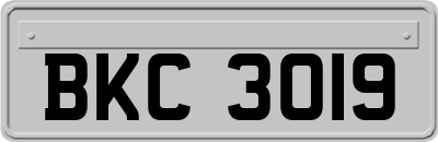 BKC3019
