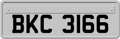 BKC3166