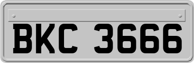 BKC3666