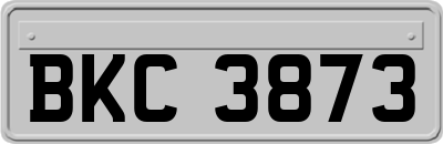 BKC3873