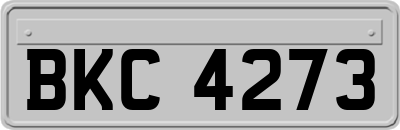 BKC4273