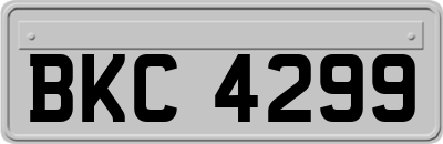 BKC4299