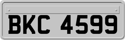 BKC4599
