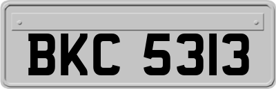 BKC5313