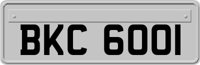 BKC6001