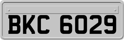 BKC6029