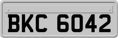 BKC6042