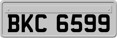 BKC6599