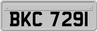 BKC7291