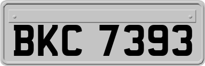 BKC7393