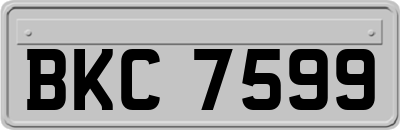 BKC7599