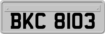BKC8103