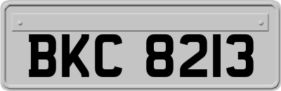 BKC8213