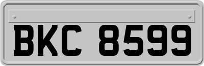 BKC8599