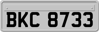 BKC8733