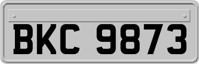 BKC9873