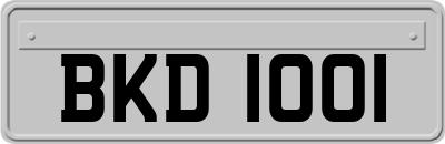 BKD1001