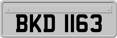 BKD1163