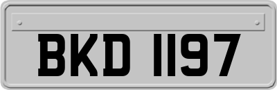 BKD1197