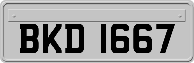 BKD1667