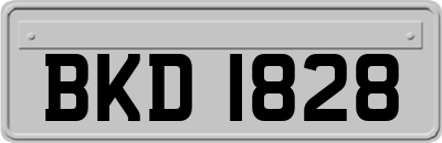 BKD1828