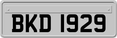 BKD1929