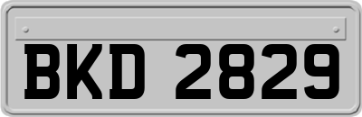 BKD2829
