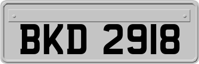 BKD2918