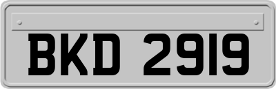 BKD2919