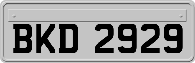 BKD2929