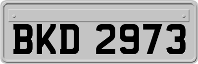 BKD2973