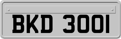 BKD3001