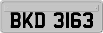 BKD3163