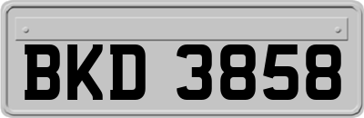 BKD3858