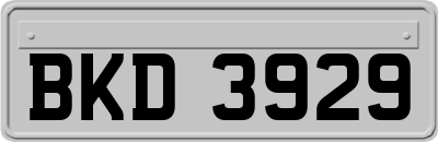 BKD3929
