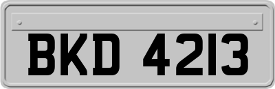 BKD4213