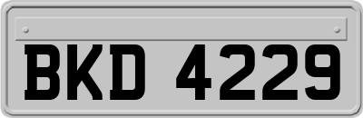 BKD4229